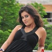 Archana Gupta Hot Photo Shoot Pictures | Picture 90123